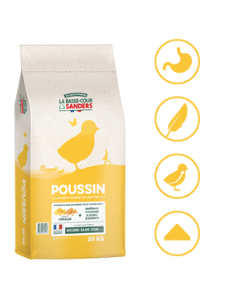 Aliment poussins