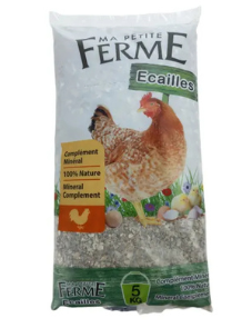 Coquilles d'huîtres