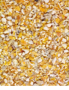 Maïs concassé