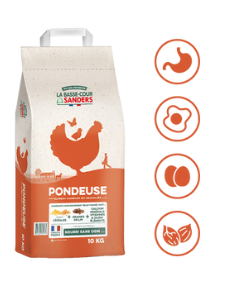 Granulés pondeuse